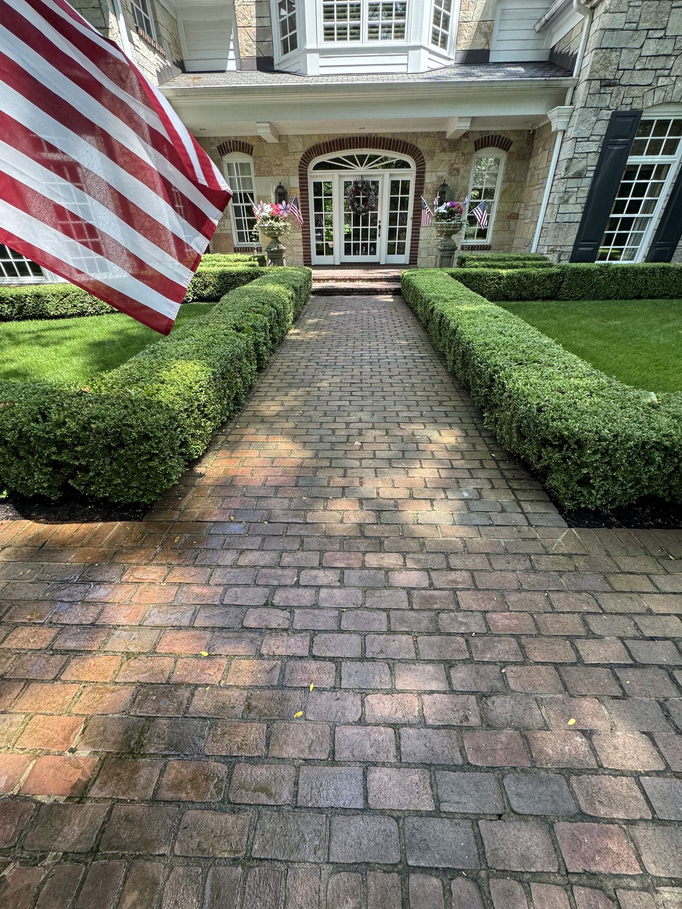 Brick paver walkway before soft washing